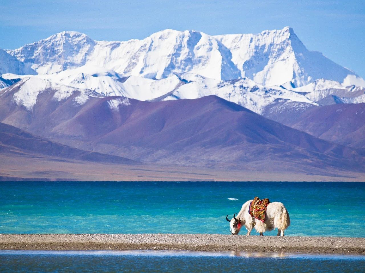 【携程攻略】贡嘎羊卓雍措景点,美哭了。羊湖作为西藏三大圣湖之一，藏语意为“碧玉湖”、“天鹅池”…